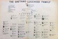 Famiglia-Lucchese